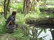 Fasilitas - Budidaya Ikan